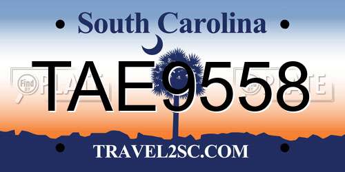 TAE9558 South Carolina License Plate