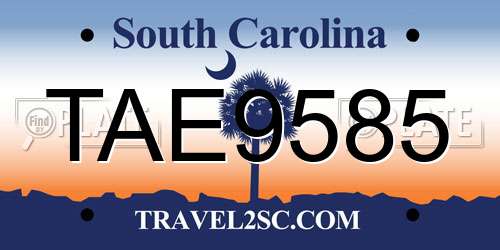 TAE9585 South Carolina License Plate