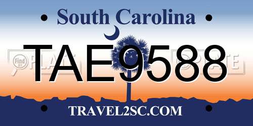 TAE9588 South Carolina License Plate