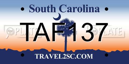 TAF137 South Carolina License Plate