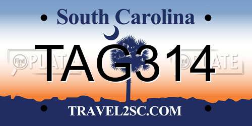 TAG314 South Carolina License Plate