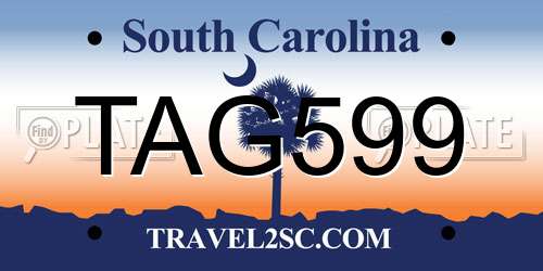 TAG599 South Carolina License Plate