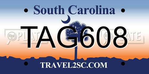 TAG608 South Carolina License Plate