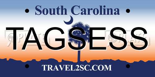TAGSESS South Carolina License Plate