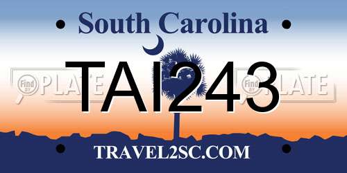 TAI243 South Carolina License Plate