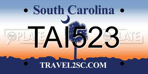 TAI523 South Carolina License Plate