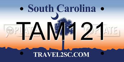 TAM121 South Carolina License Plate