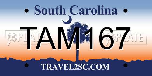 TAM167 South Carolina License Plate