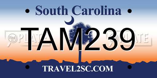 TAM239 South Carolina License Plate