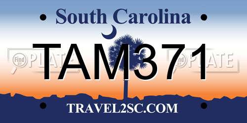 TAM371 South Carolina License Plate