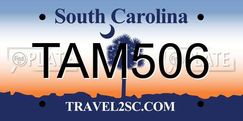 TAM506 South Carolina License Plate