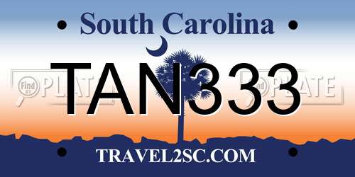TAN333 South Carolina License Plate