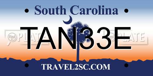 TAN33E South Carolina License Plate