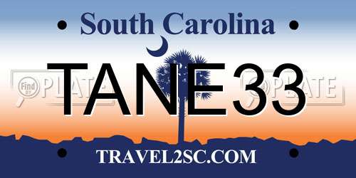 TANE33 South Carolina License Plate