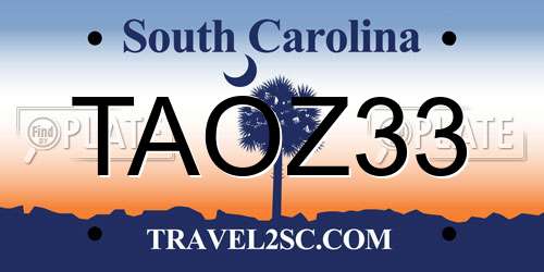 TAOZ33 South Carolina License Plate