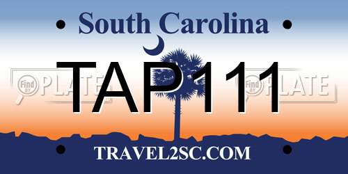 TAP111 South Carolina License Plate