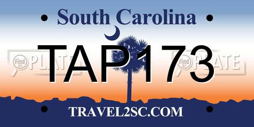 TAP173 South Carolina License Plate