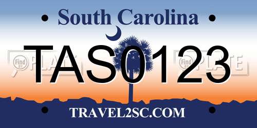 TAS0123 South Carolina License Plate