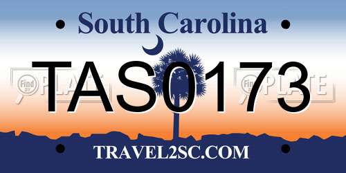 TAS0173 South Carolina License Plate