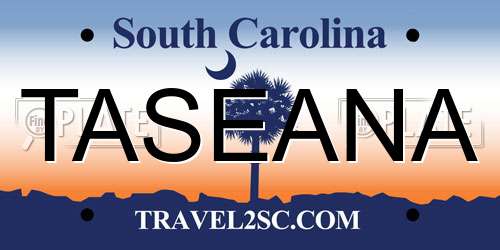 TASEANA South Carolina License Plate