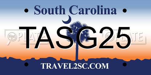 TASG25 South Carolina License Plate