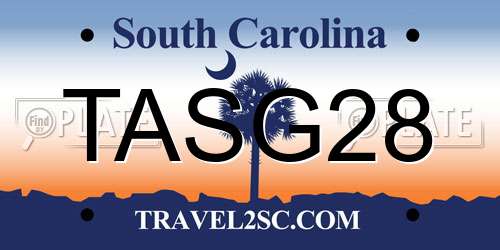 TASG28 South Carolina License Plate