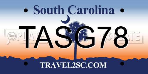 TASG78 South Carolina License Plate