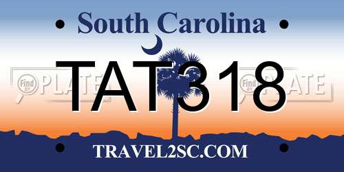 TAT318 South Carolina License Plate