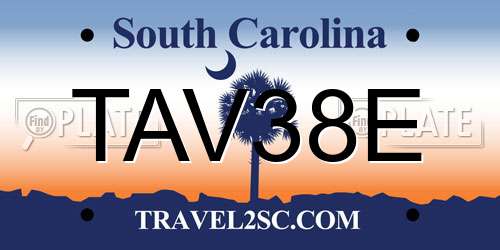 TAV38E South Carolina License Plate