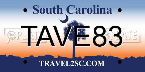 TAVE83 South Carolina License Plate