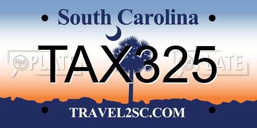 TAX325 South Carolina License Plate