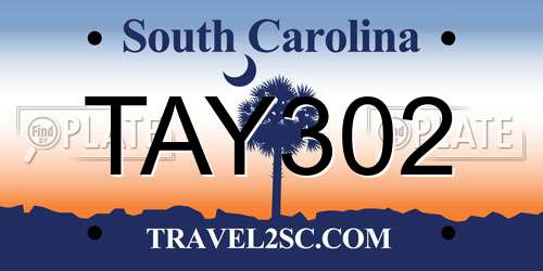 TAY302 South Carolina License Plate
