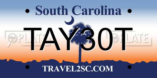 TAY30T South Carolina License Plate