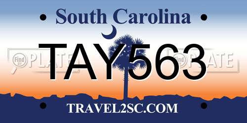 TAY563 South Carolina License Plate