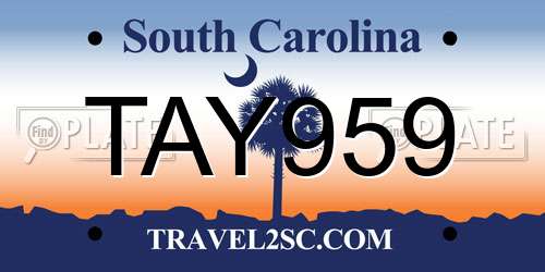 TAY959 South Carolina License Plate