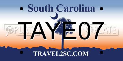 TAYE07 South Carolina License Plate