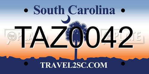 TAZ0042 South Carolina License Plate