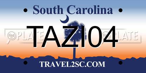 TAZI04 South Carolina License Plate