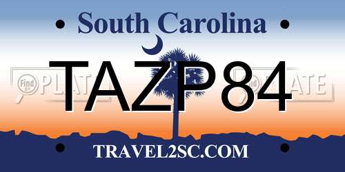 TAZP84 South Carolina License Plate