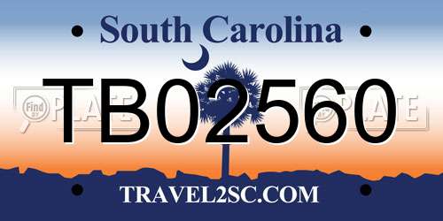 TB02560 South Carolina License Plate