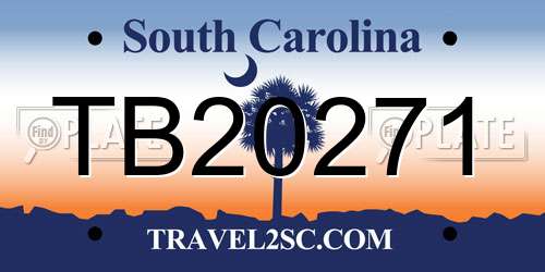 TB20271 South Carolina License Plate