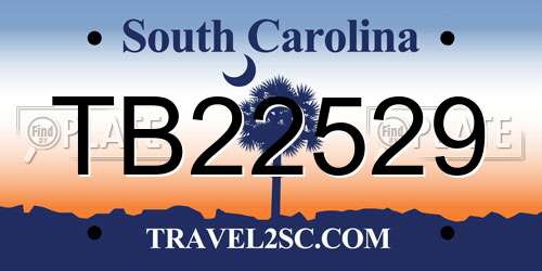 TB22529 South Carolina License Plate