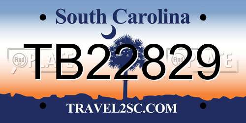 TB22829 South Carolina License Plate