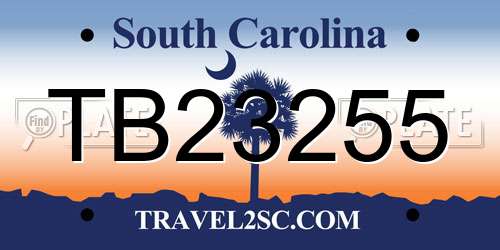 TB23255 South Carolina License Plate