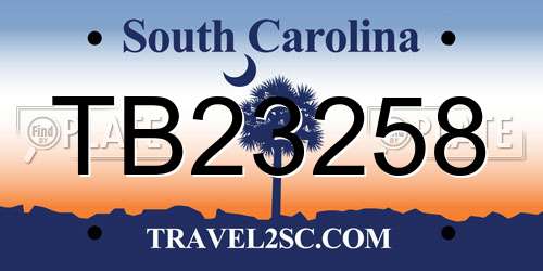 TB23258 South Carolina License Plate