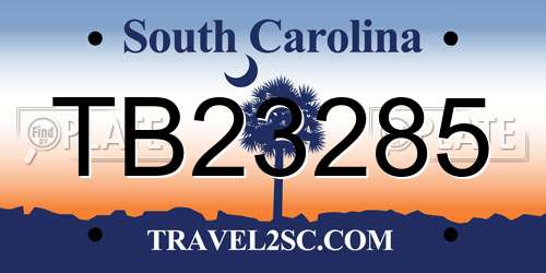 TB23285 South Carolina License Plate
