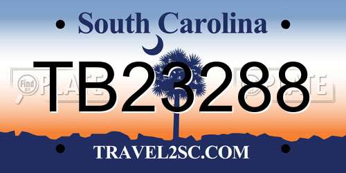 TB23288 South Carolina License Plate
