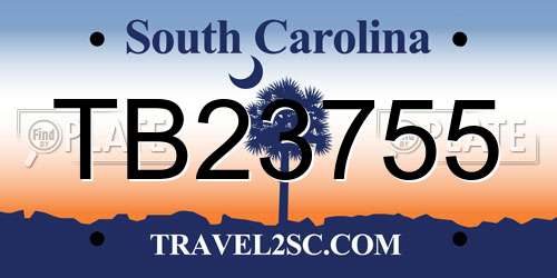 TB23755 South Carolina License Plate