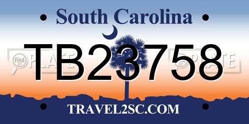 TB23758 South Carolina License Plate