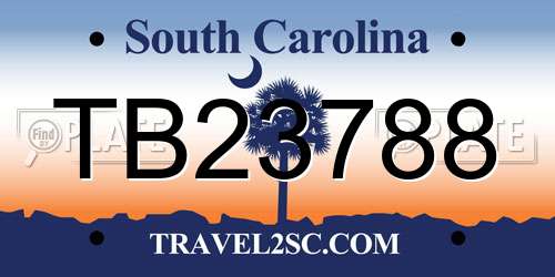 TB23788 South Carolina License Plate